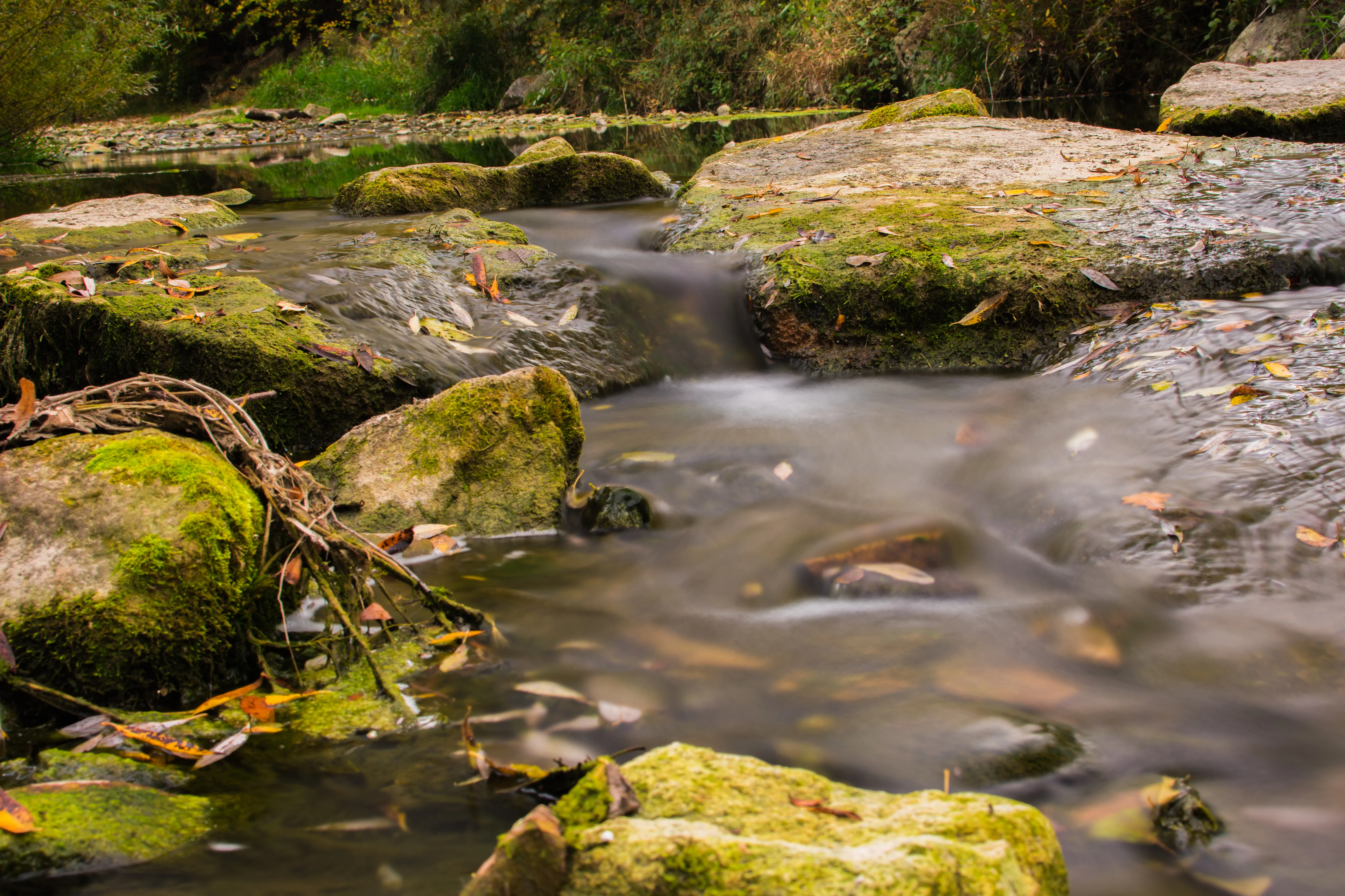 Landschaft & Natur – Foto 3
