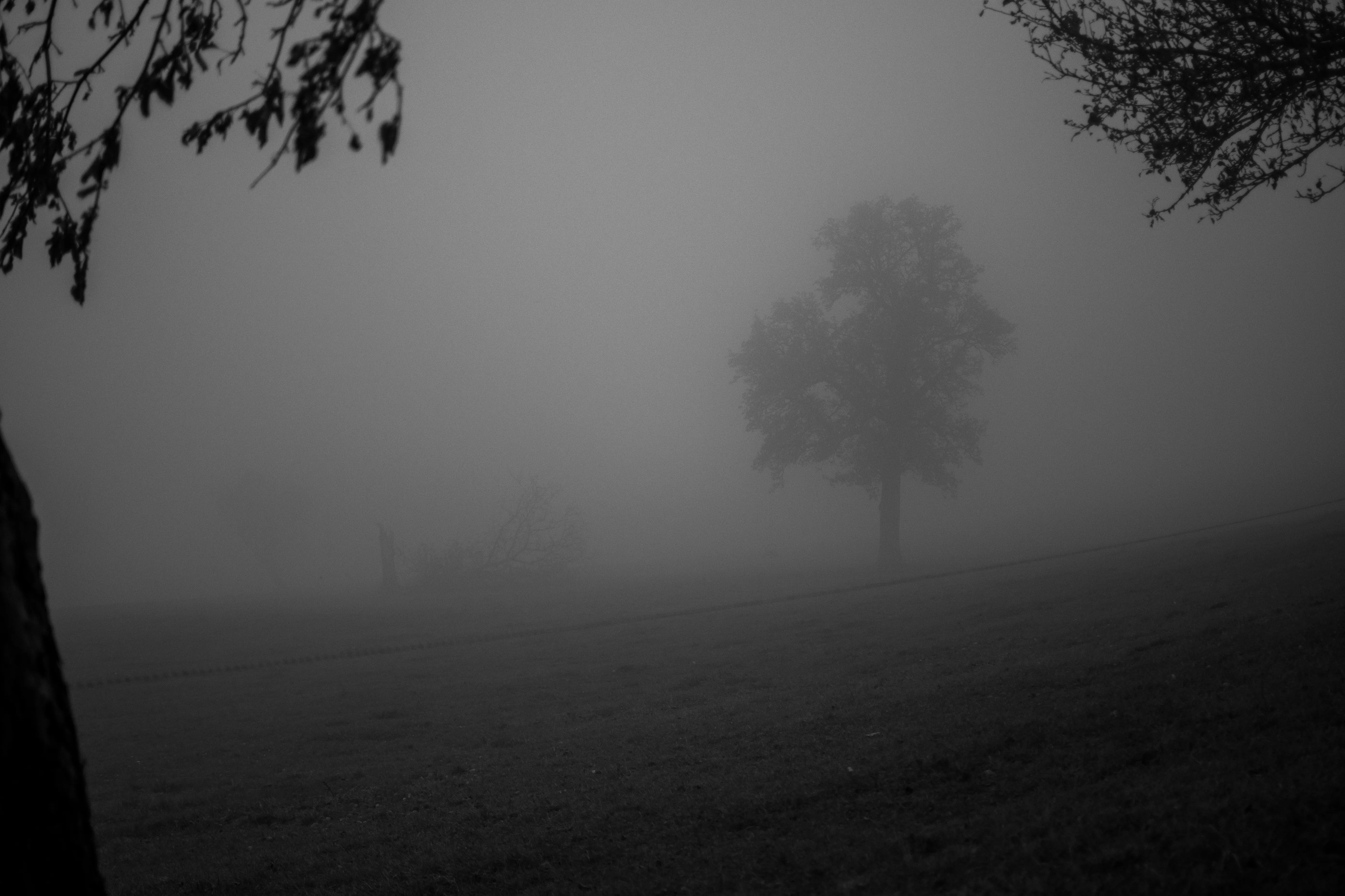 Landschaft & Natur – Foto 9