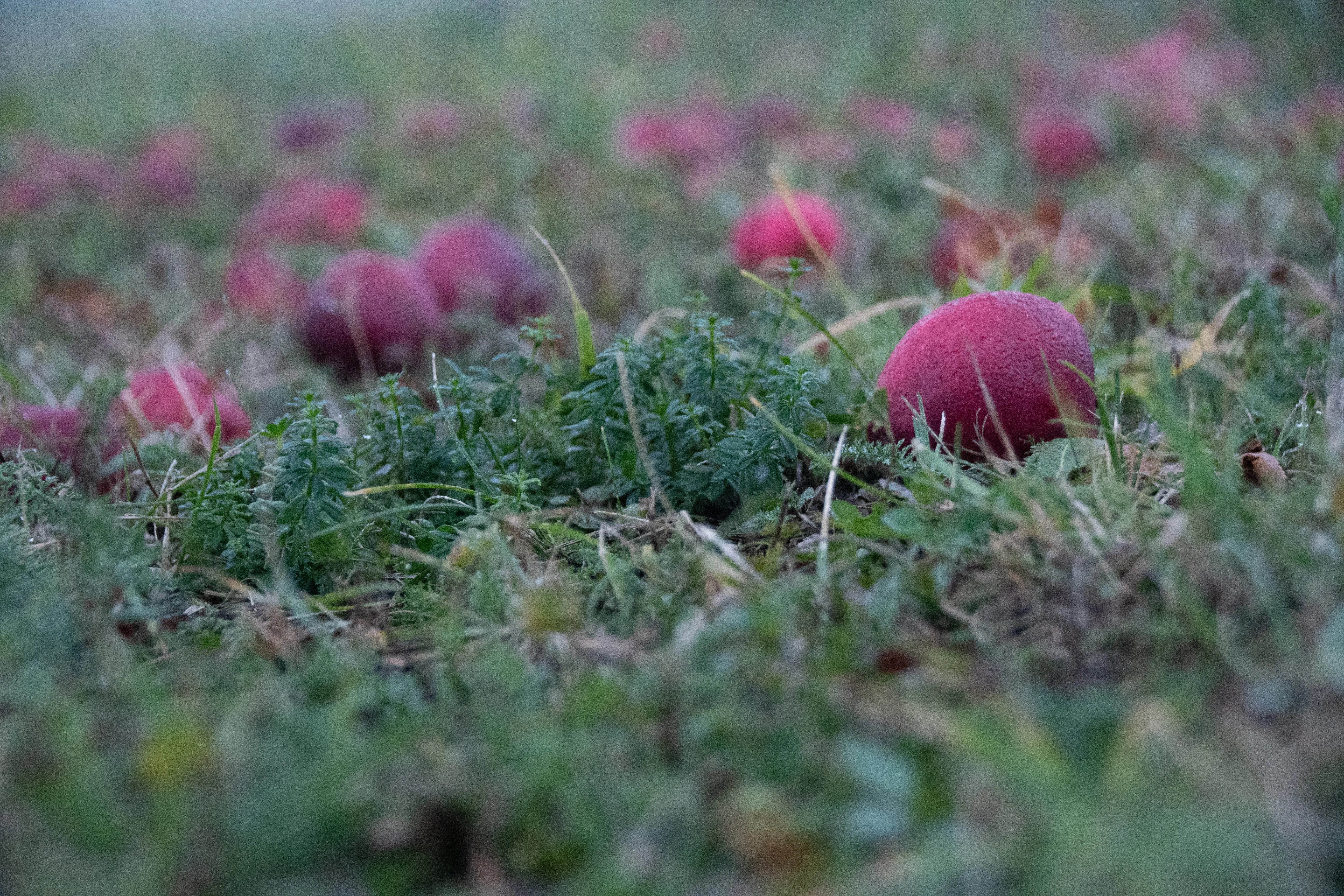 Landschaft & Natur – Foto 10