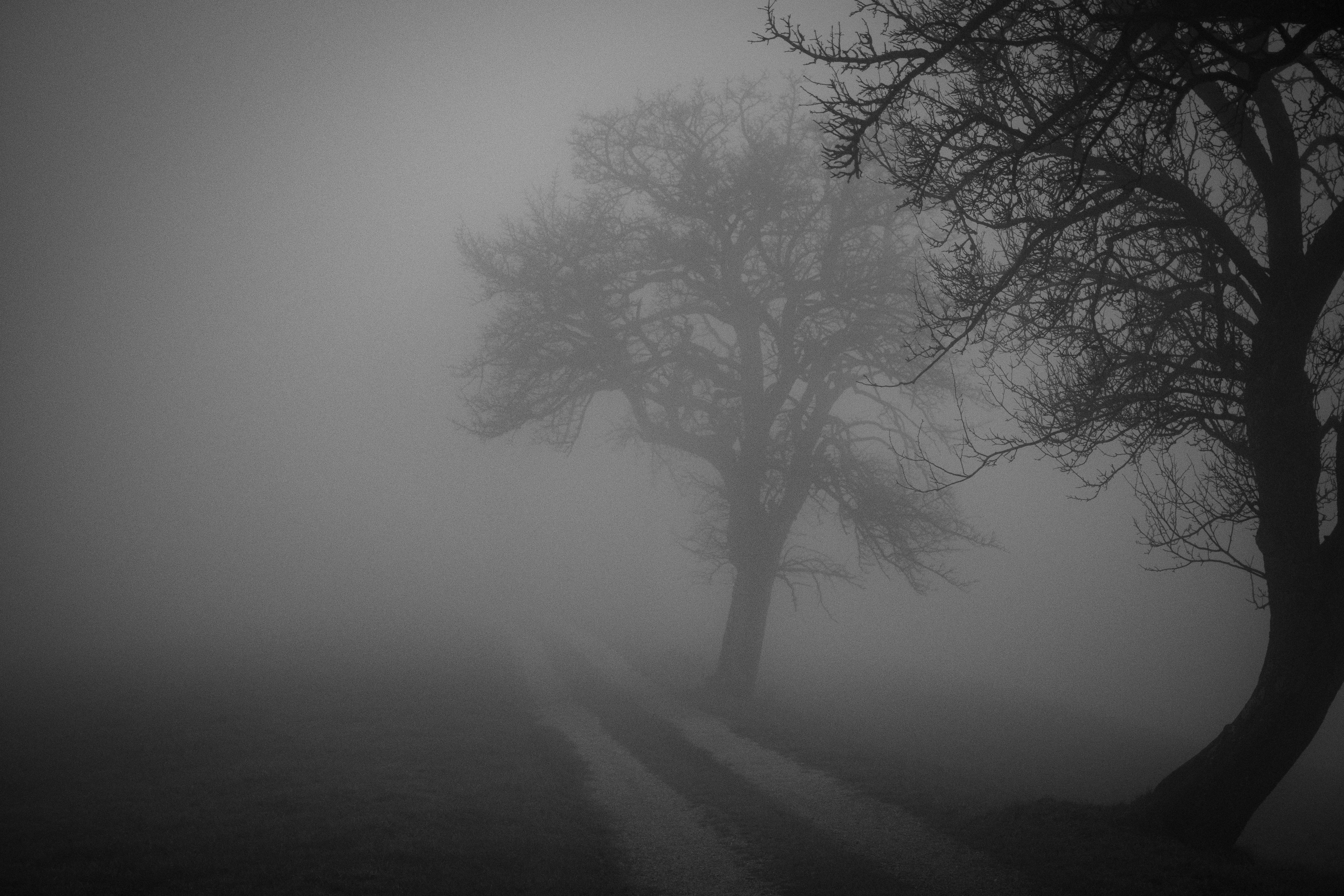 Landschaft & Natur – Foto 13