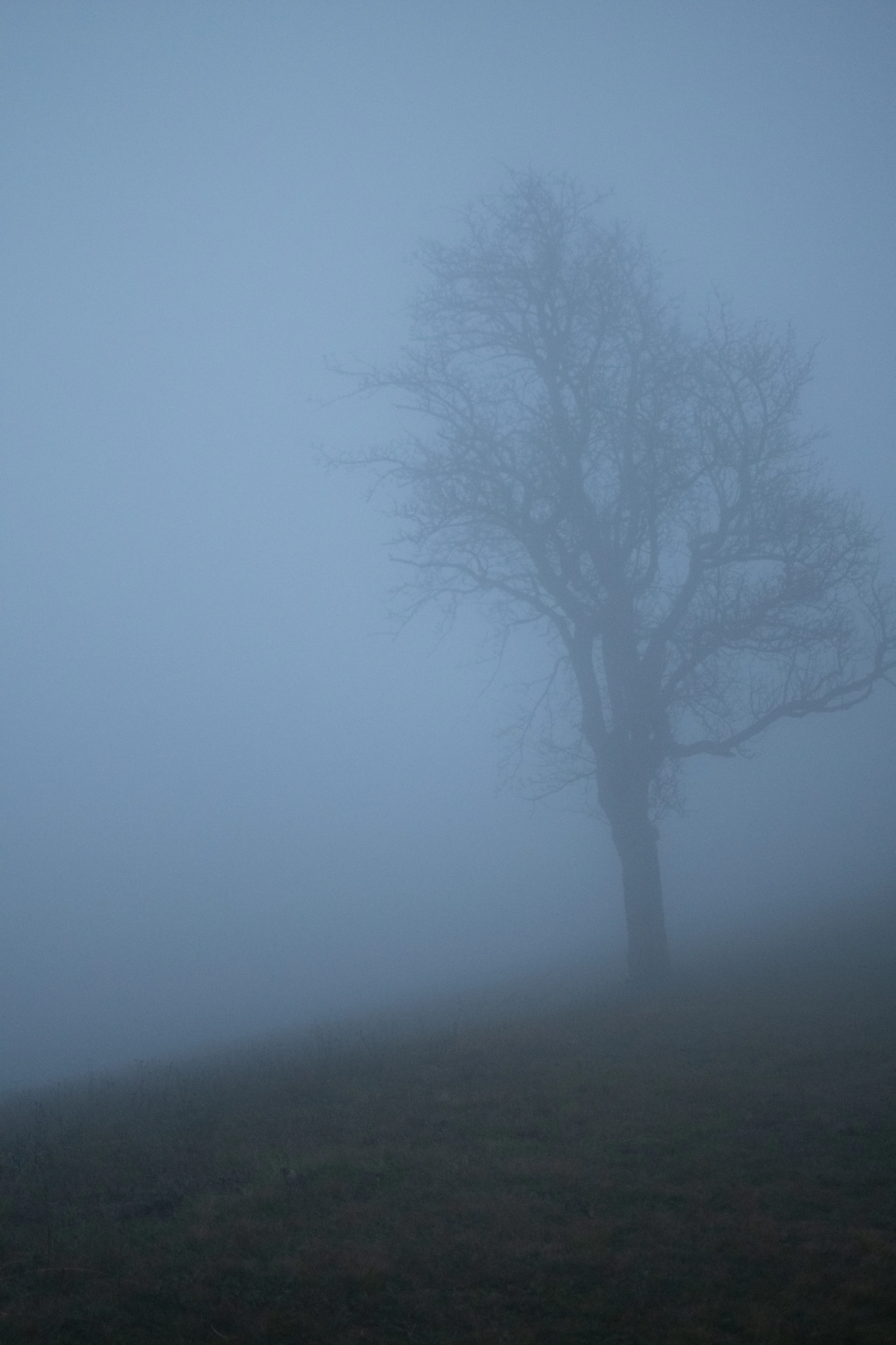 Landschaft & Natur – Foto 15