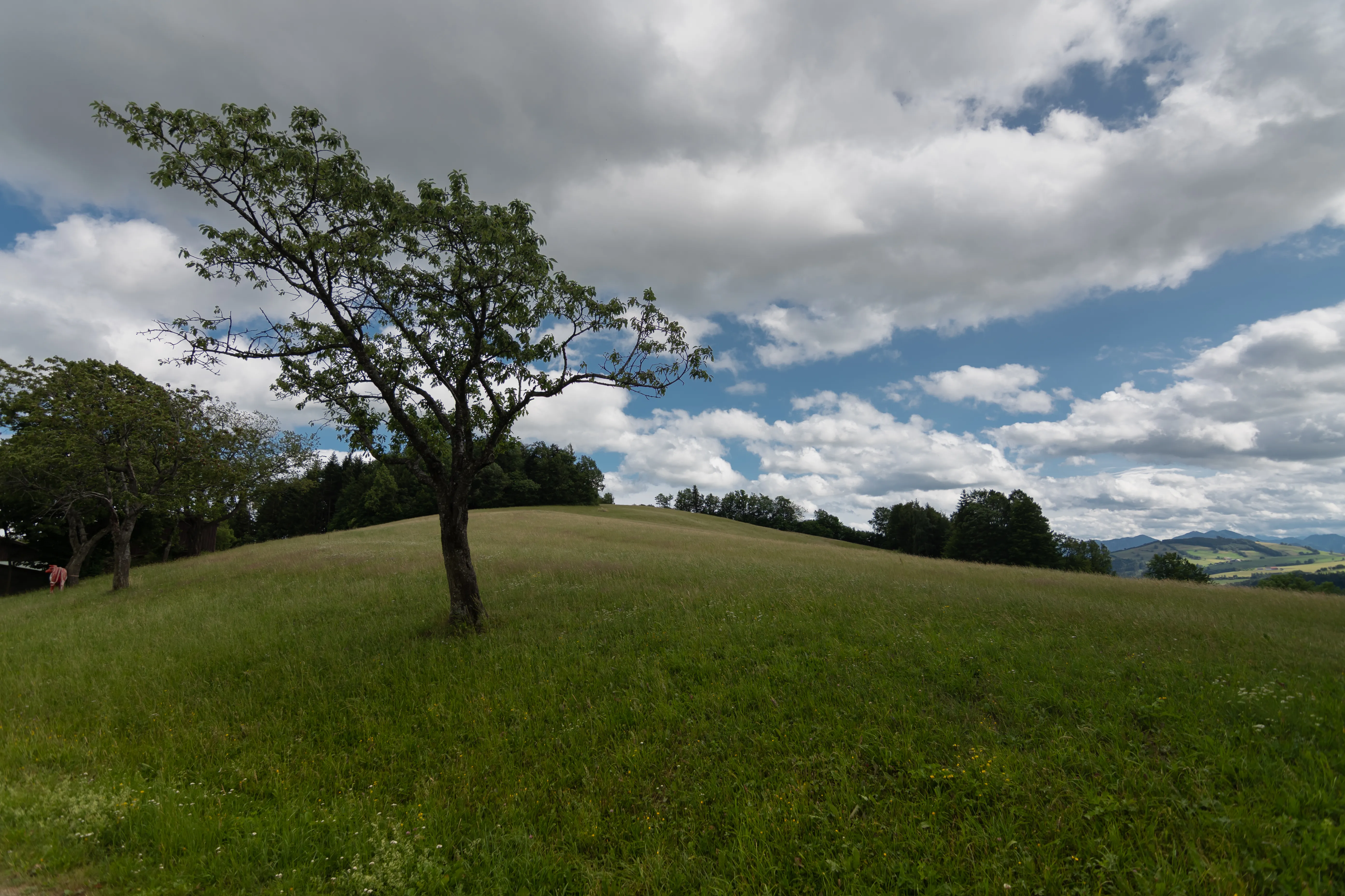 Landschaft & Natur – Foto 25