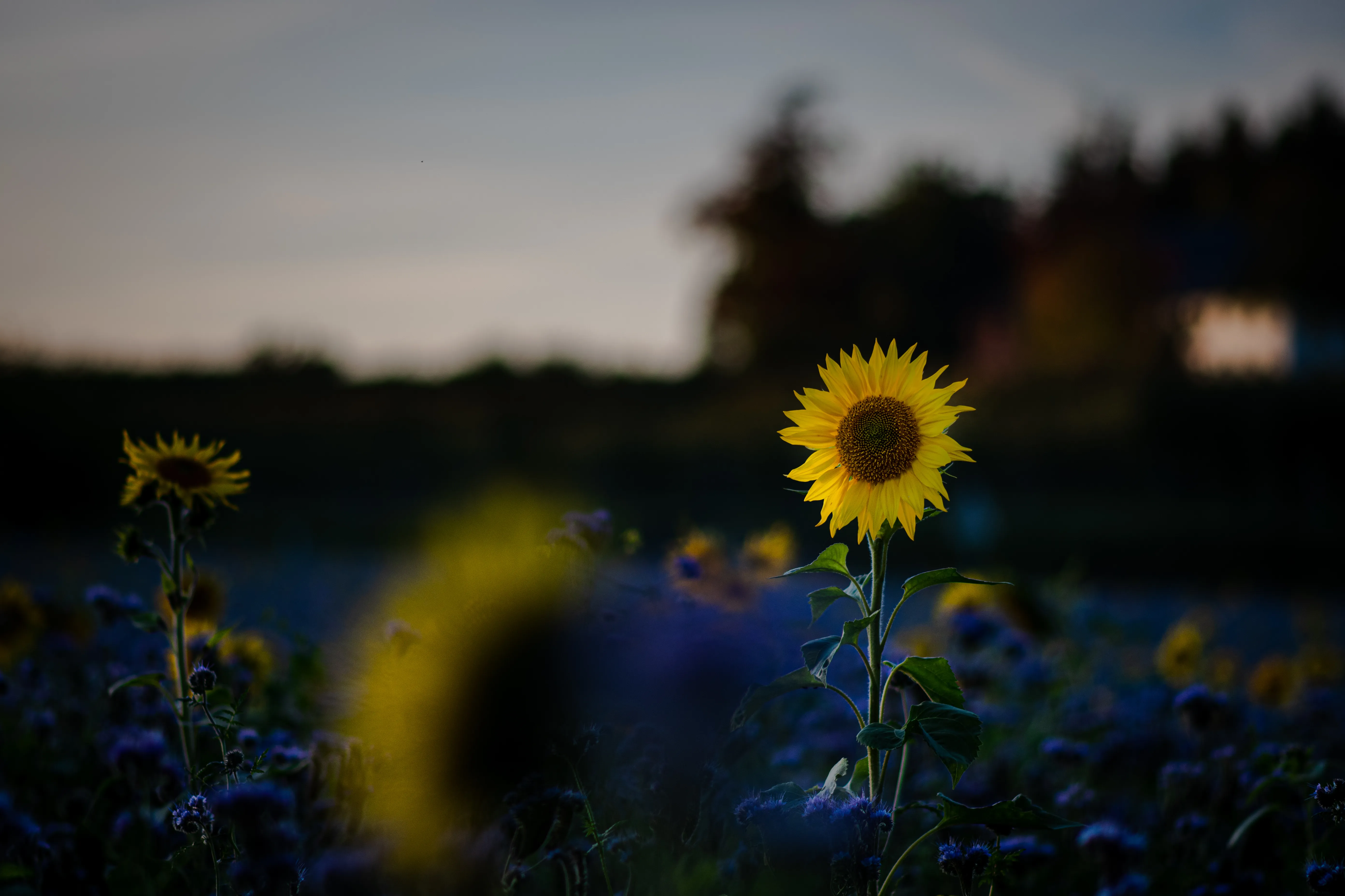 Landschaft & Natur – Foto 39
