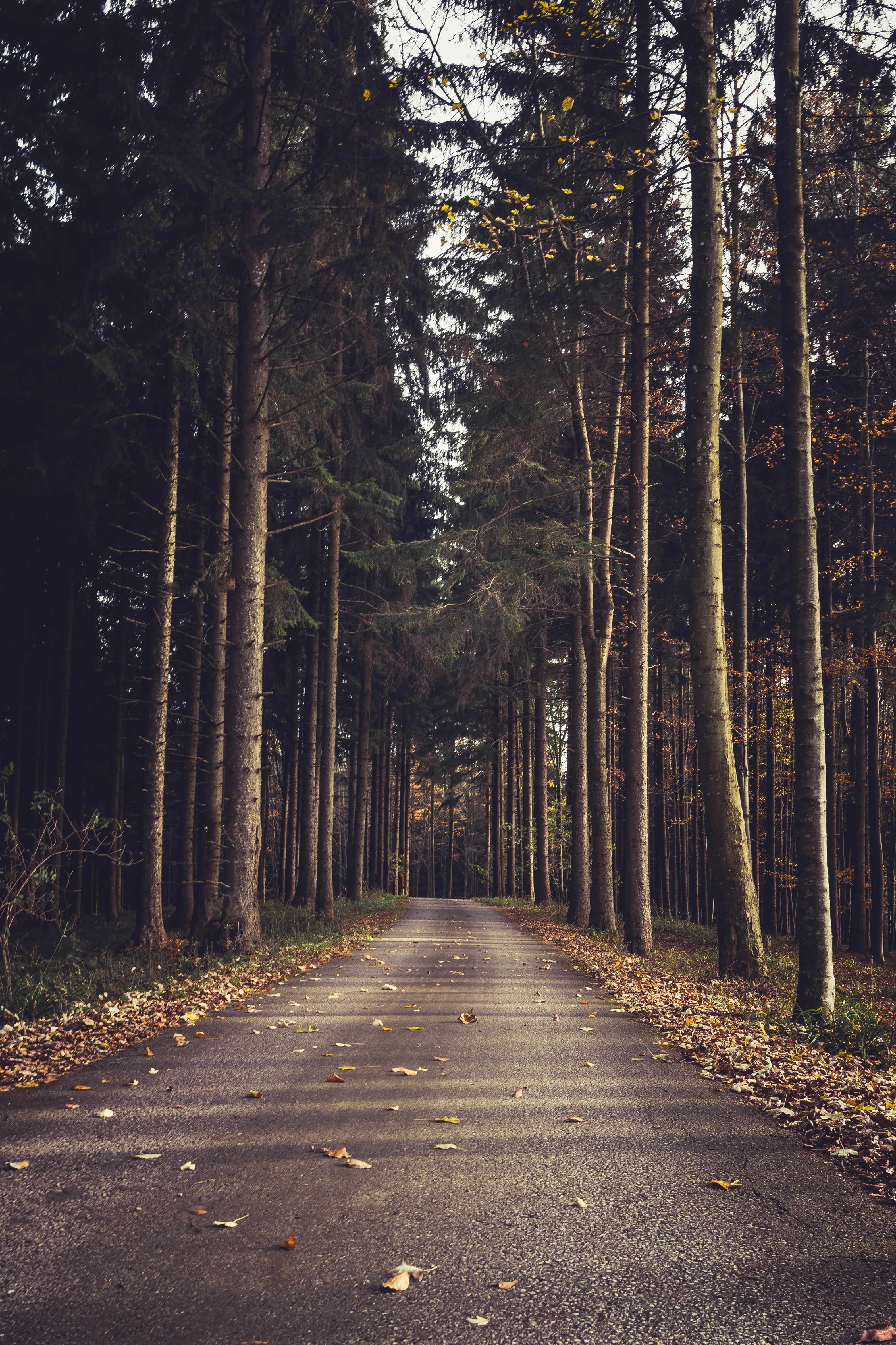 Landschaft & Natur – Foto 44