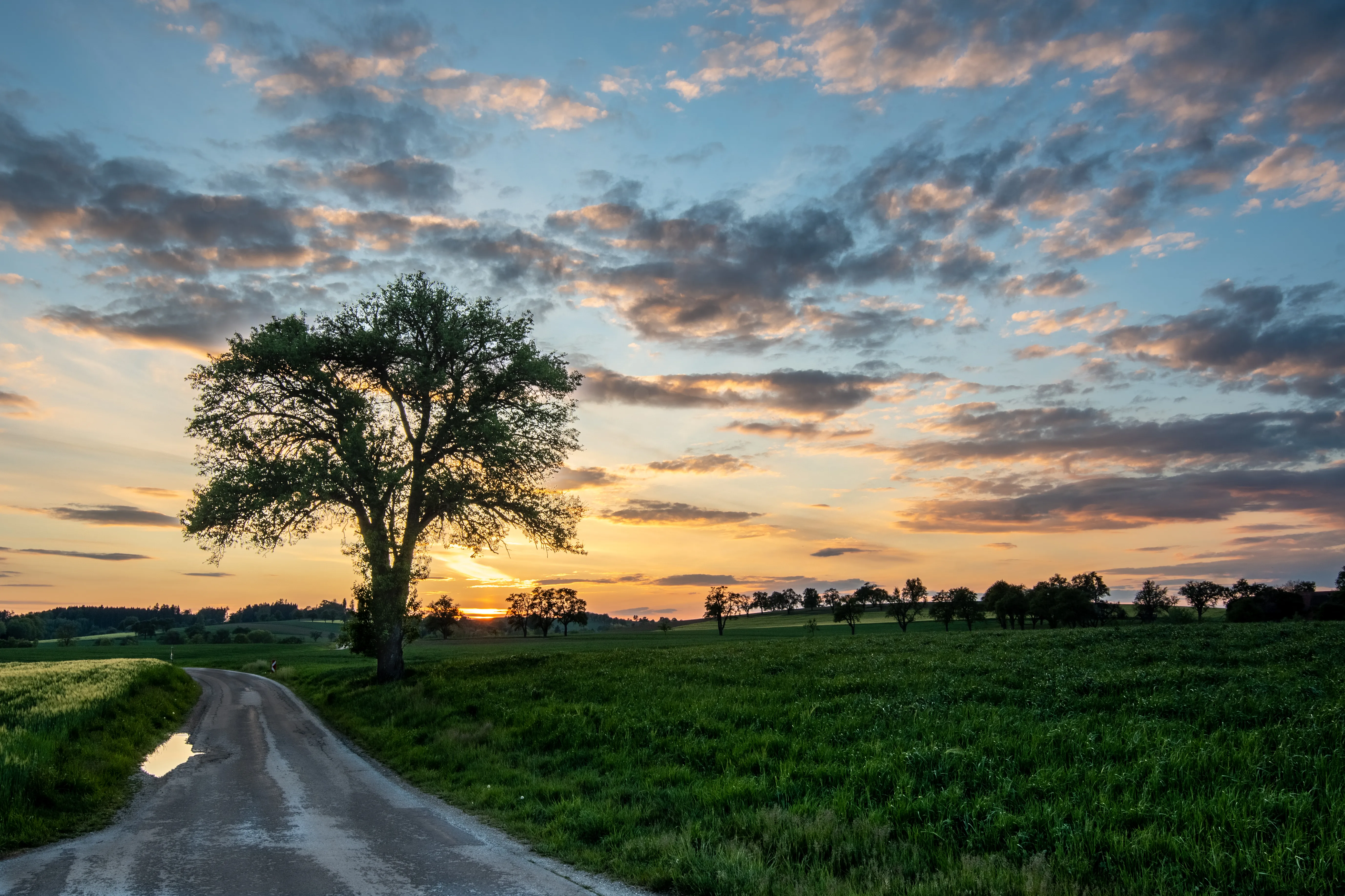 Landschaft & Natur – Foto 56