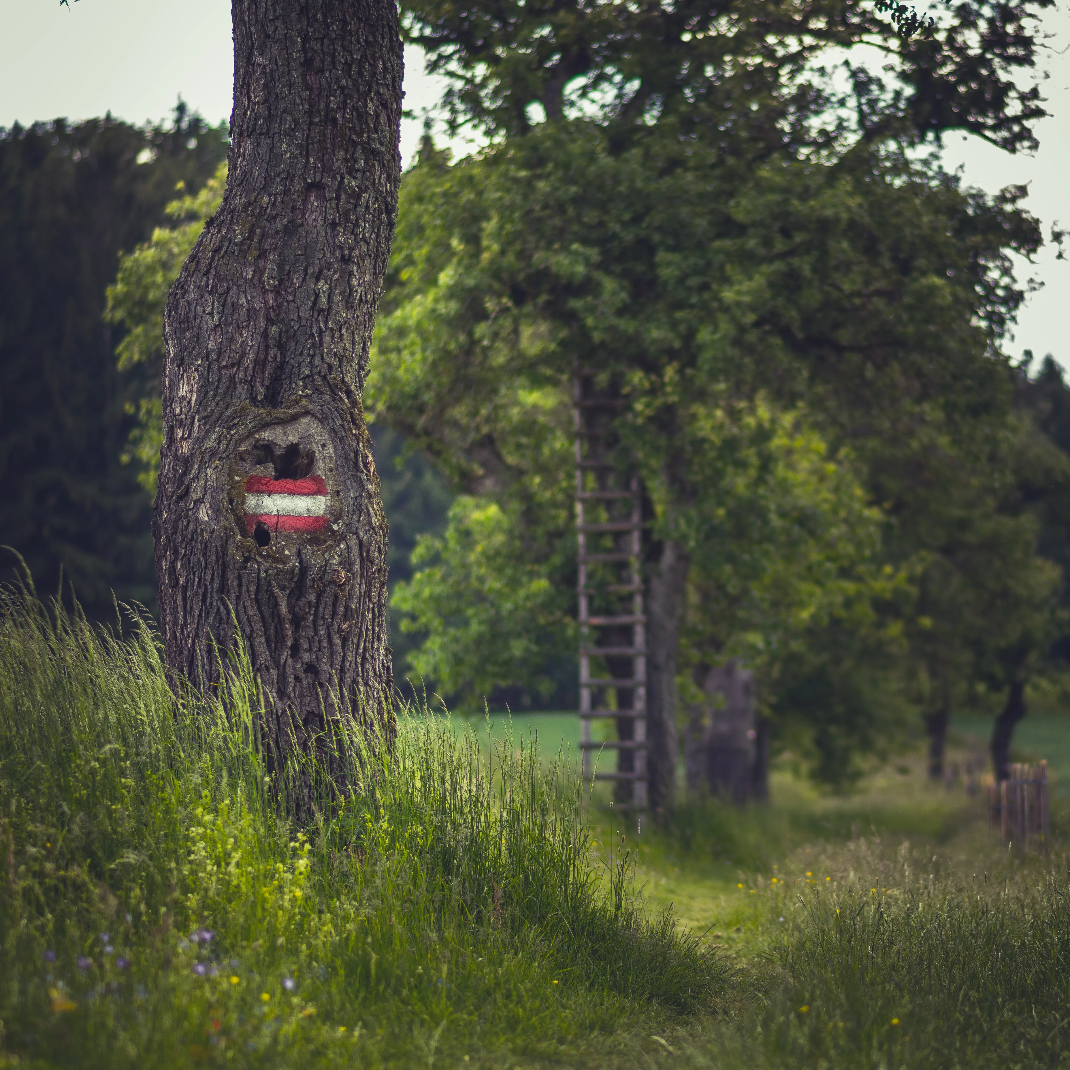 Landschaft & Natur
