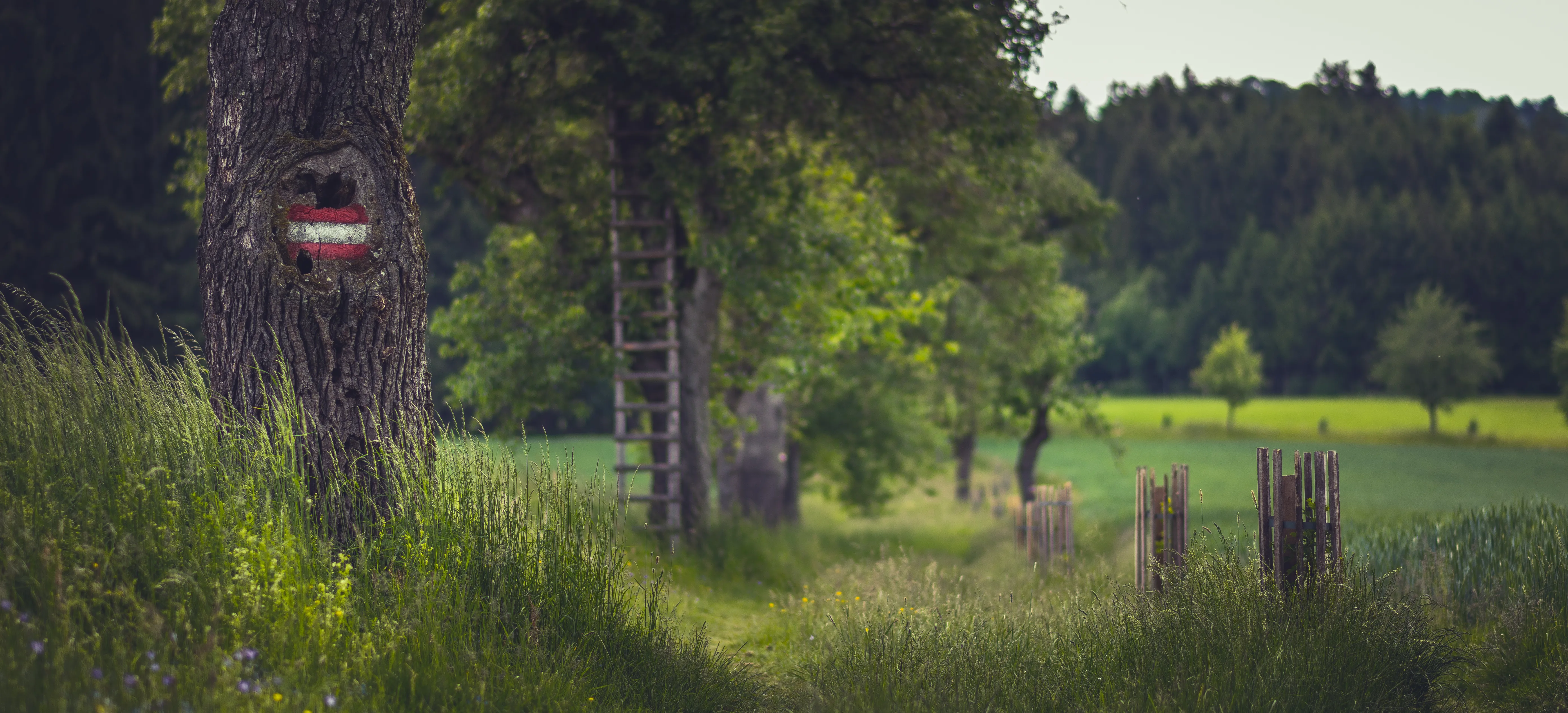 Landschaft & Natur – Fotografie von B-Capture